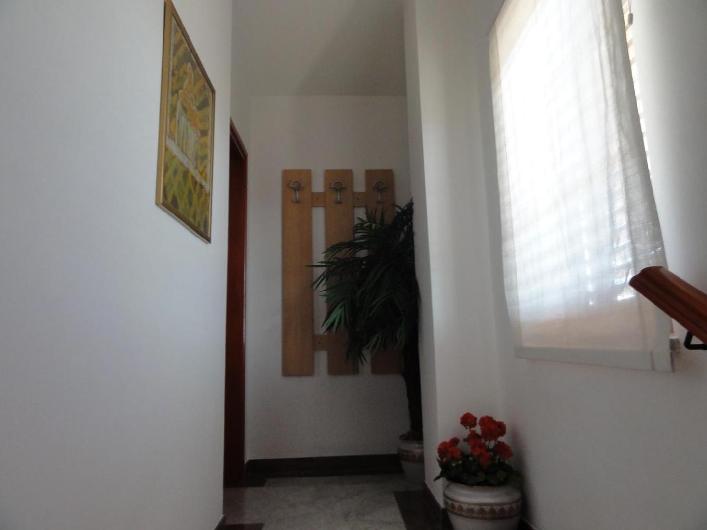 Cozy Apartments And Rooms Pavicini Segotici Экстерьер фото