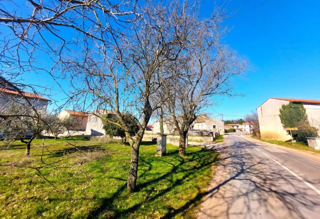 Cozy Apartments And Rooms Pavicini Segotici Экстерьер фото